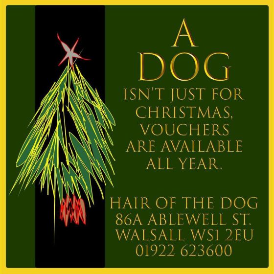 Graphic - a dog isn't just for Christmas. Vouchers are available all year - digital campaign for dog groomer