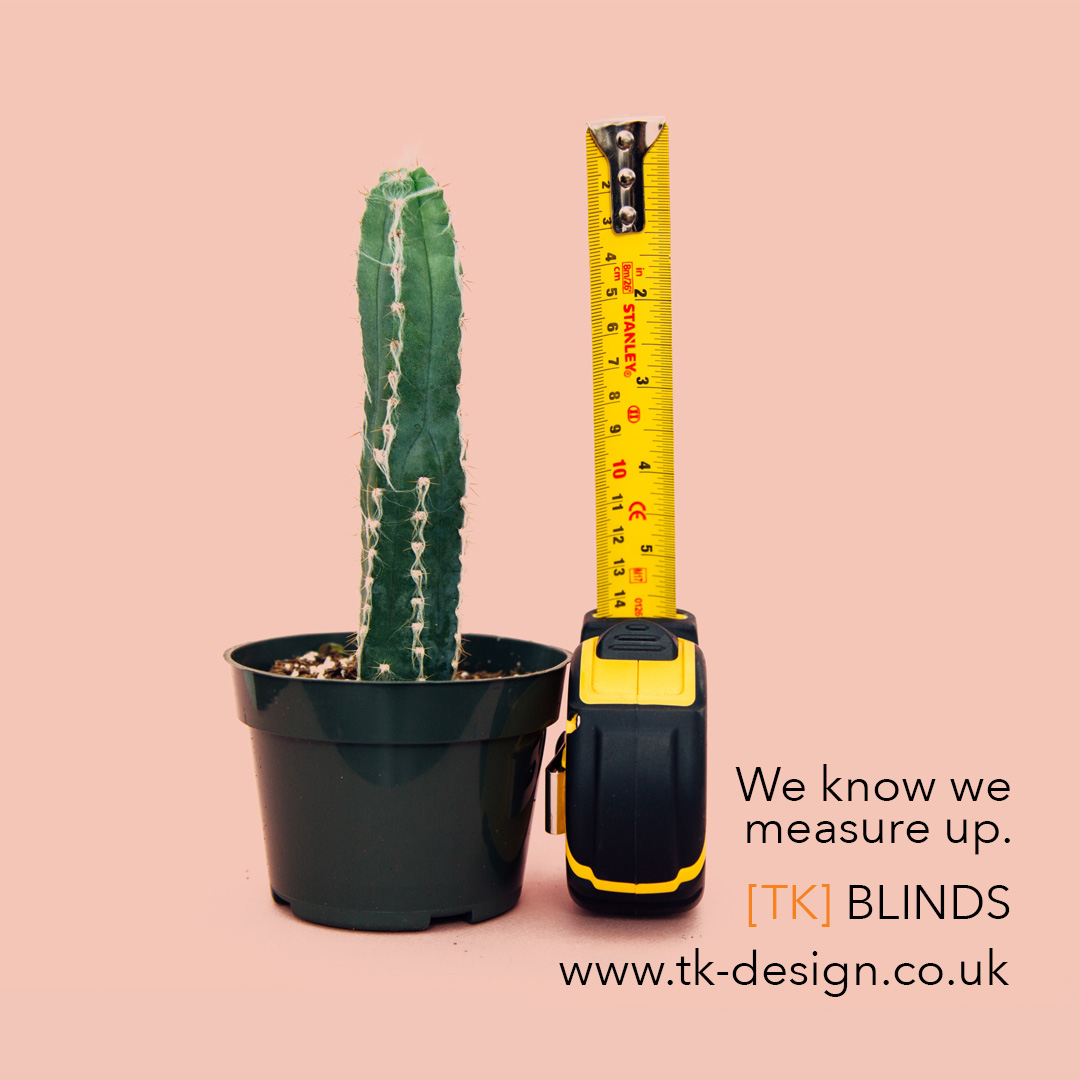 Graphic for made to measure blinds business with caption We know we measure up. Image of cactus alongside tape measure showing size.