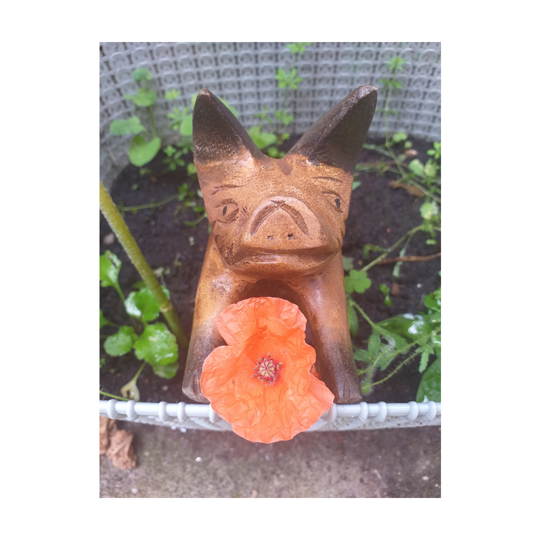 Vintage wooden pig ornament photographed with a poppy