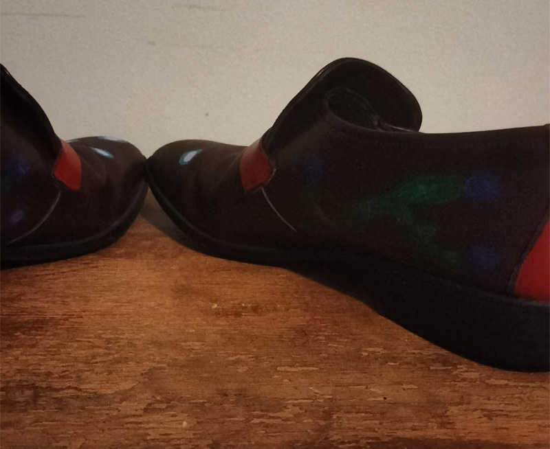 Size 7 brown leather shoes. Flat. Inside of shoes has some green leaf like design with purple heads for flowers.