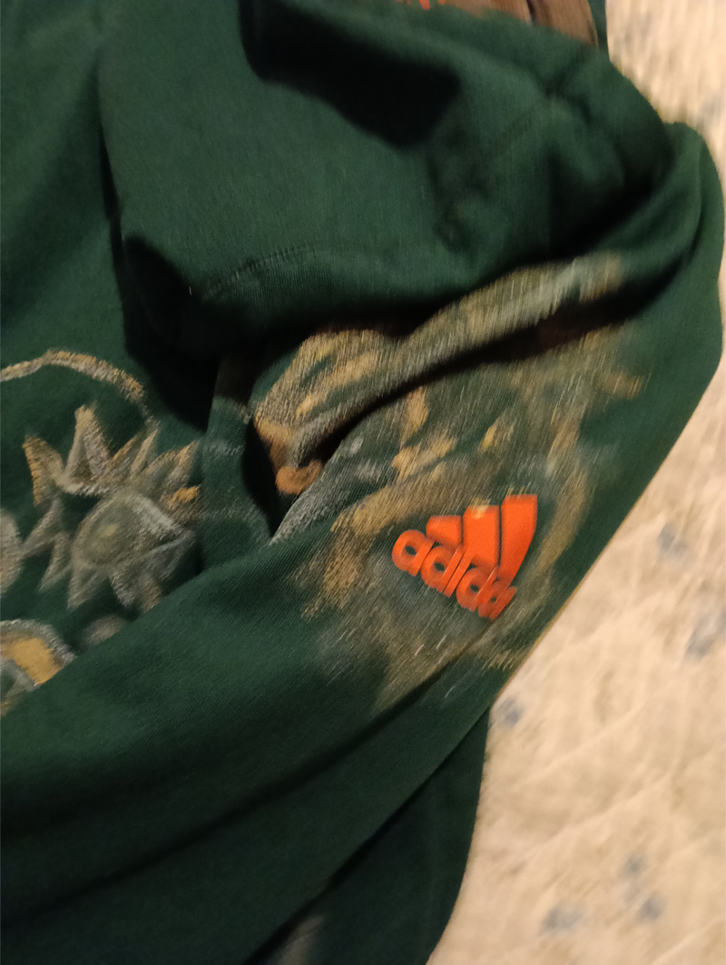 Dark green Adidas hoodie, small. Hand painted front and back and sleeves. Front has some kind of face-like image. The back has a seated figure, a cat and sideboard with a plant on it. On one of the shoulders/arms is a bird and this image also comes onto the back of the shoulder. On the other arm is an abstract dog. All images are outlined in gold paint and part of the art work is filled in with gold paint.