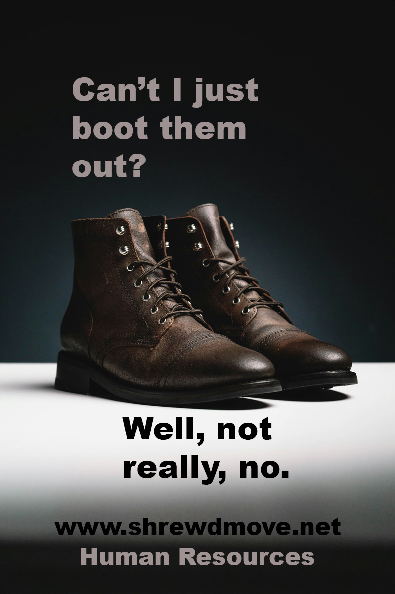 Image of boots with text above that reads Can;t I just boot them out? Under the boots reads Well, not really, no. Human resources services www.shrewdmove.net