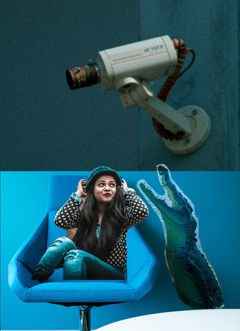 Digital image using a number of different images. A young woman on an office-like chair, a crocodile to the side of the woman, blue background and blue chair and top of image is a CCTV camera against a blue background (different shade of blue). This is about appraisals in the workplace.