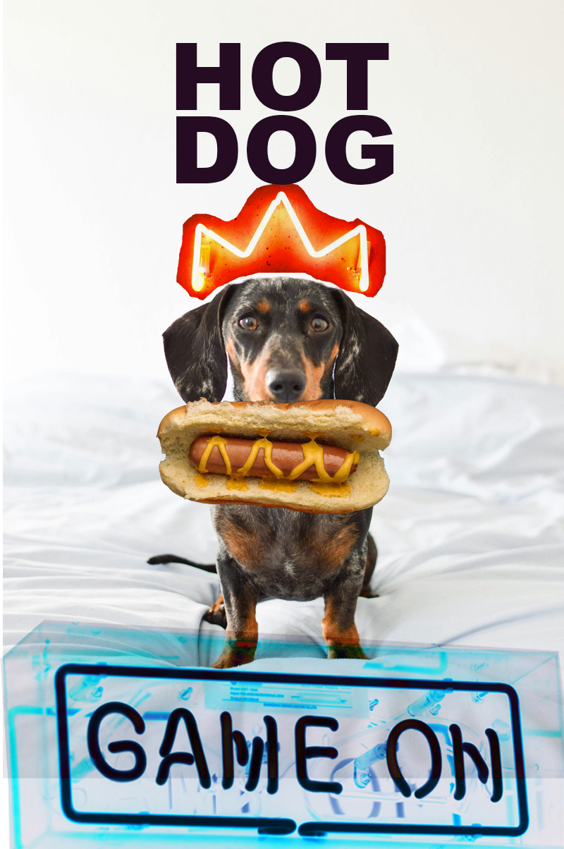 Hot dog. dachshund dog on white sheets. Hot dog fast food in front of the dog's mouth. Neon sign reading Game on below the dog (has been blended with background so some colour taken out). Neon light in shape of crown above the dog's head. This is about rewarding high performers not just disciplining people for poor performance.